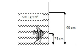 Prediksi 1 Un IPA Fisika - Quiz